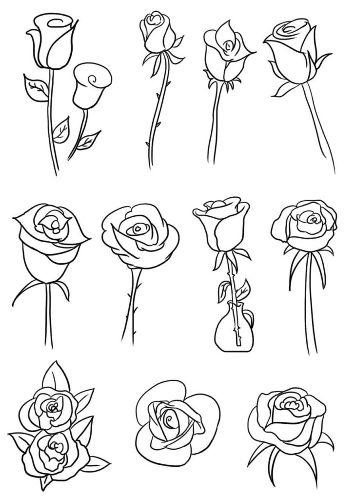 玫瑰花简笔画