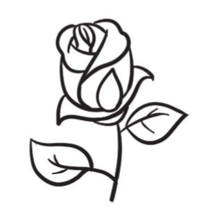 玫瑰花简笔画