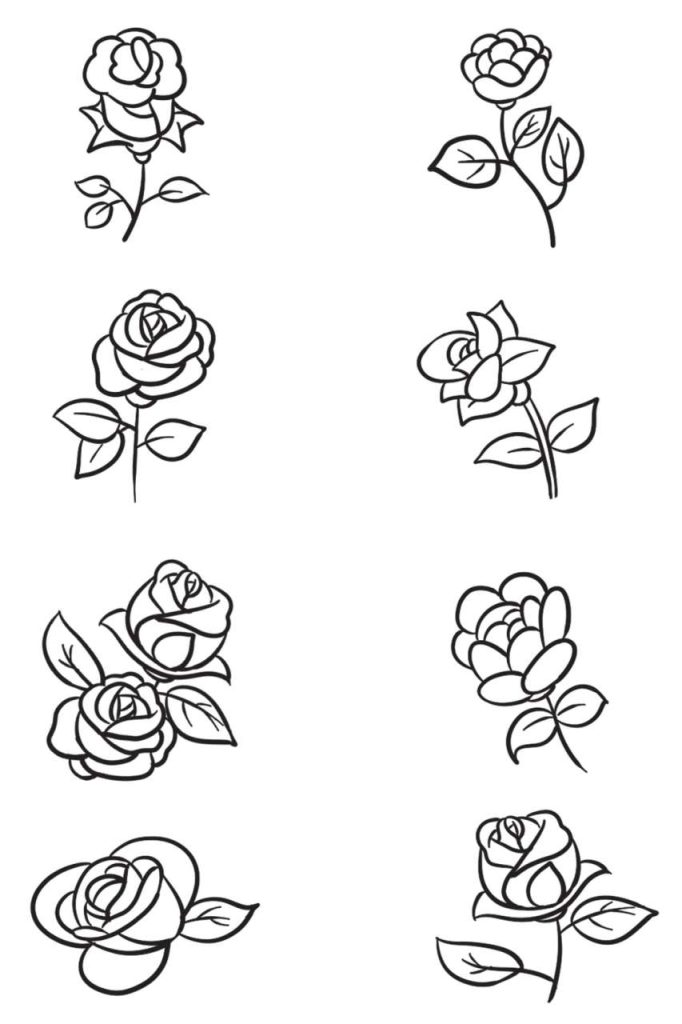 玫瑰花简笔画
