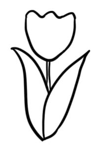 郁金香简笔画