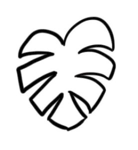 龟背竹简笔画