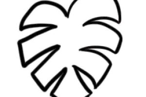 龟背竹简笔画