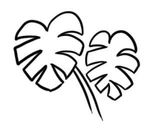 龟背竹简笔画