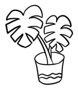 龟背竹简笔画