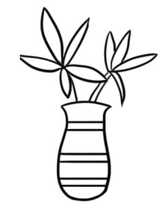富贵竹简笔画
