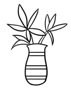 富贵竹简笔画
