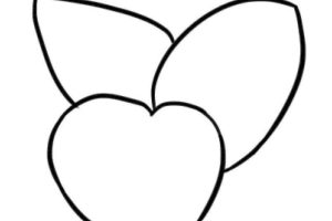 竹芋简笔画