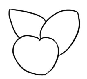 竹芋简笔画