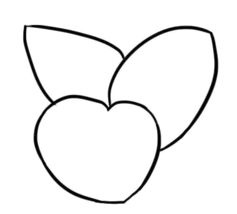 竹芋简笔画