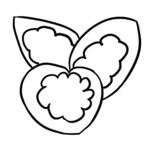 竹芋简笔画