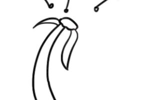 蒲公英简笔画