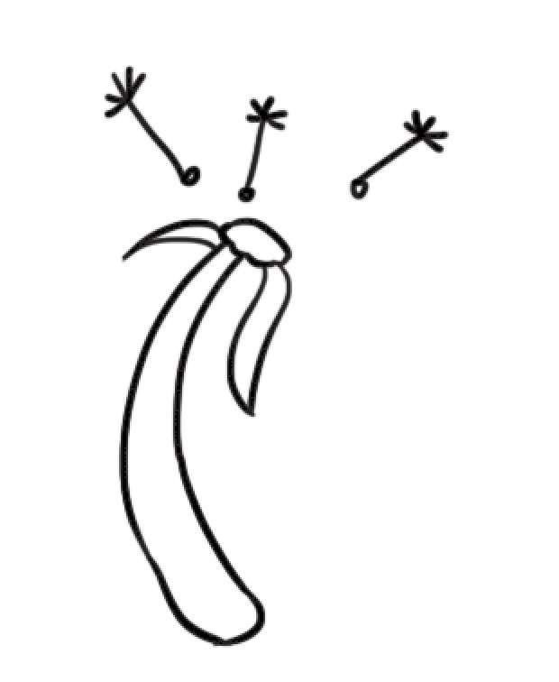 蒲公英简笔画