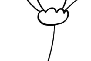 康乃馨简笔画
