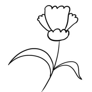康乃馨简笔画