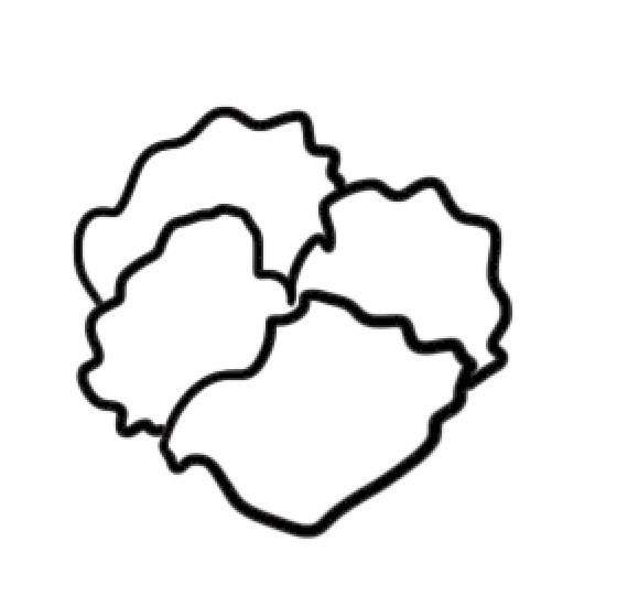 三色堇简笔画