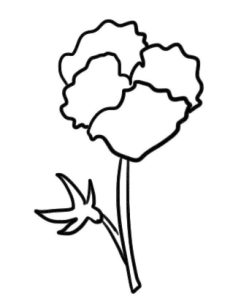 三色堇简笔画