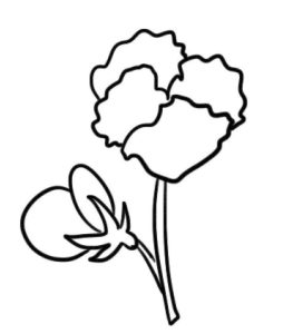 三色堇简笔画