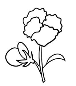 三色堇简笔画