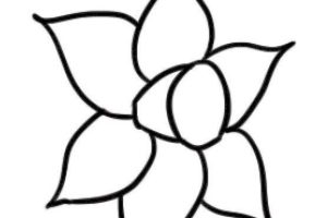 水仙花简笔画