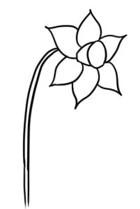 水仙花简笔画