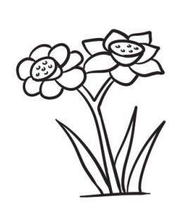 水仙花简笔画