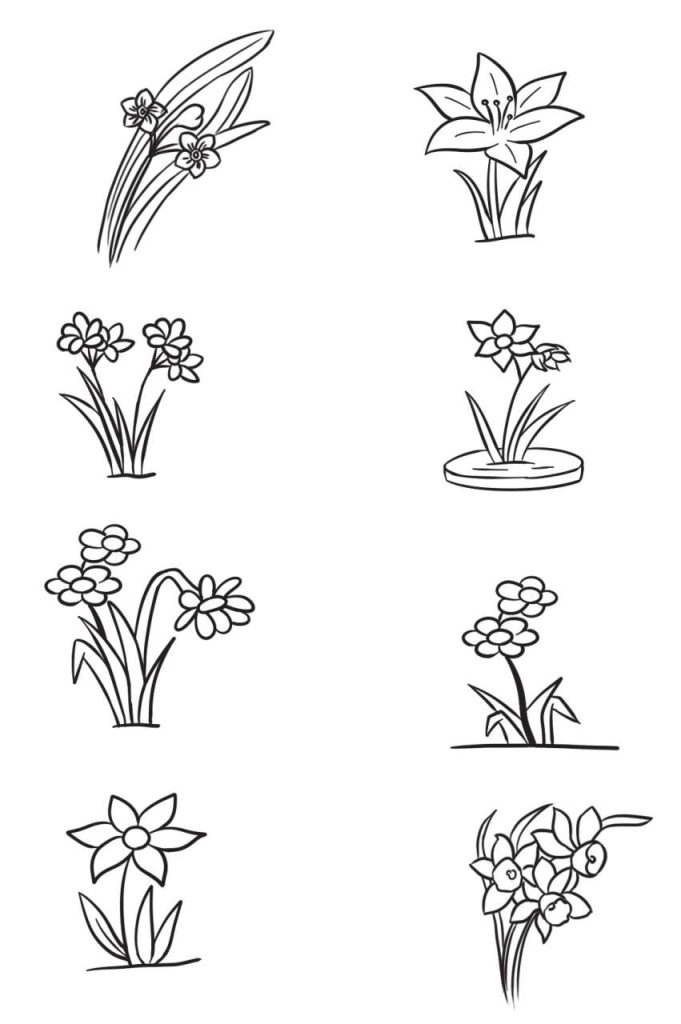 水仙花简笔画