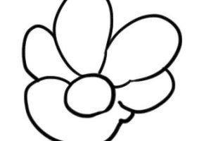 石榴花简笔画