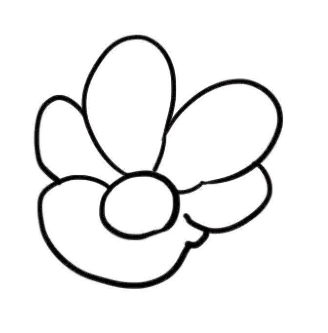 石榴花简笔画