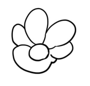 石榴花简笔画