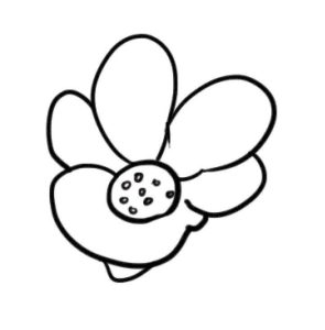 石榴花简笔画