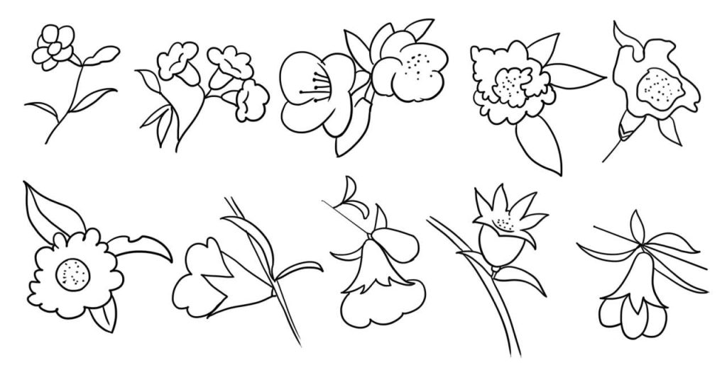 石榴花简笔画