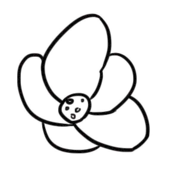 海棠花简笔画