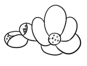 海棠花简笔画