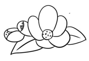 海棠花简笔画