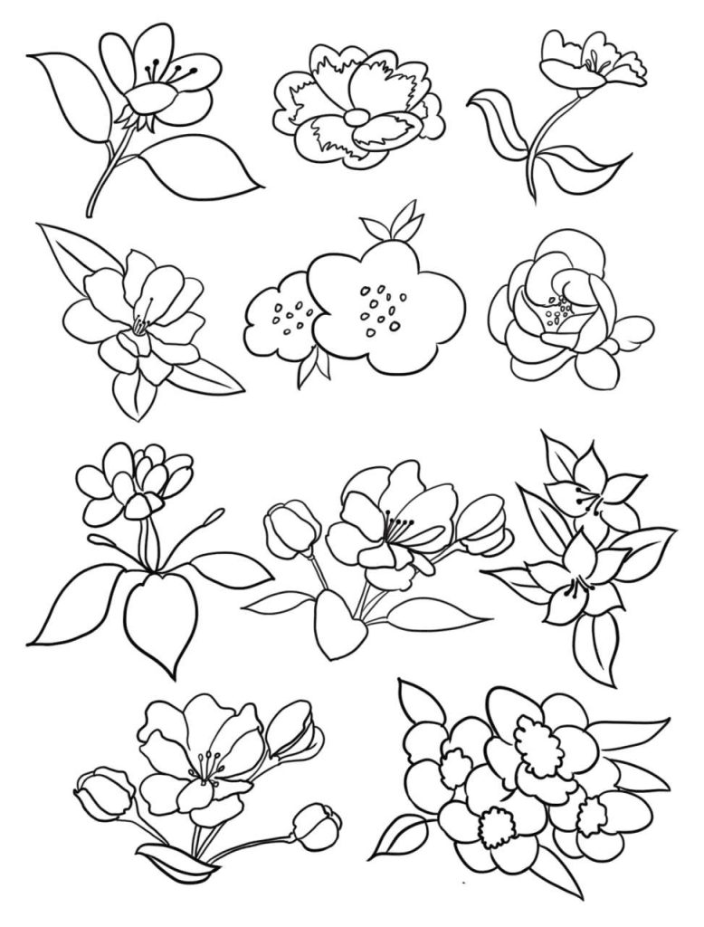 海棠花简笔画