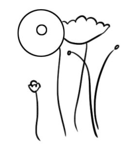 虞美人简笔画