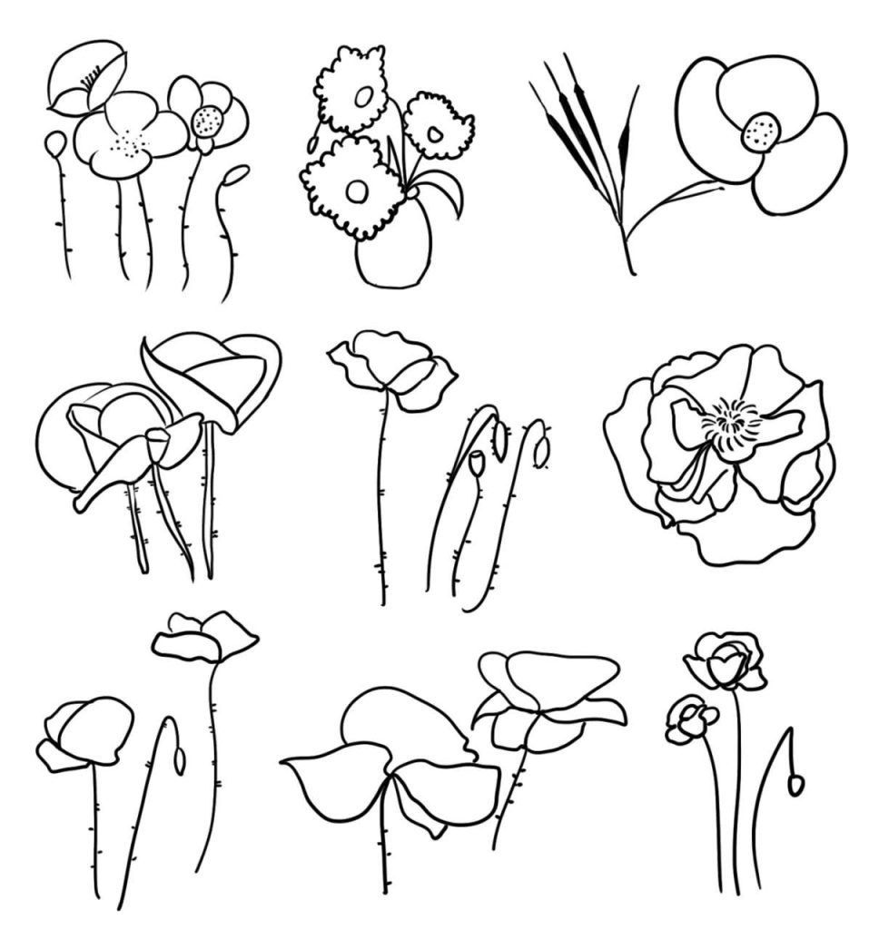 虞美人简笔画