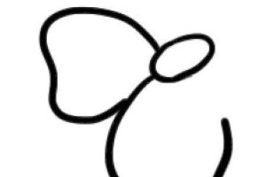 茉莉花简笔画