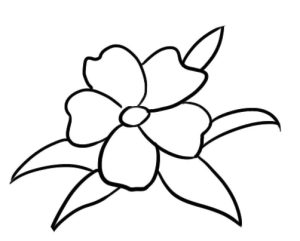 茉莉花简笔画