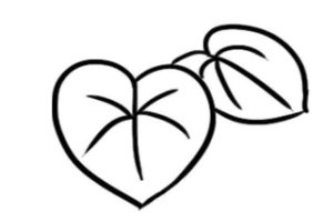 仙客来简笔画
