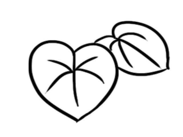 仙客来简笔画