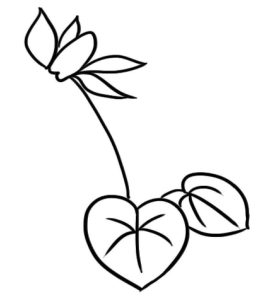 仙客来简笔画