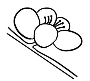 梅花简笔画
