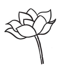 荷花简笔画