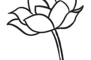 荷花简笔画