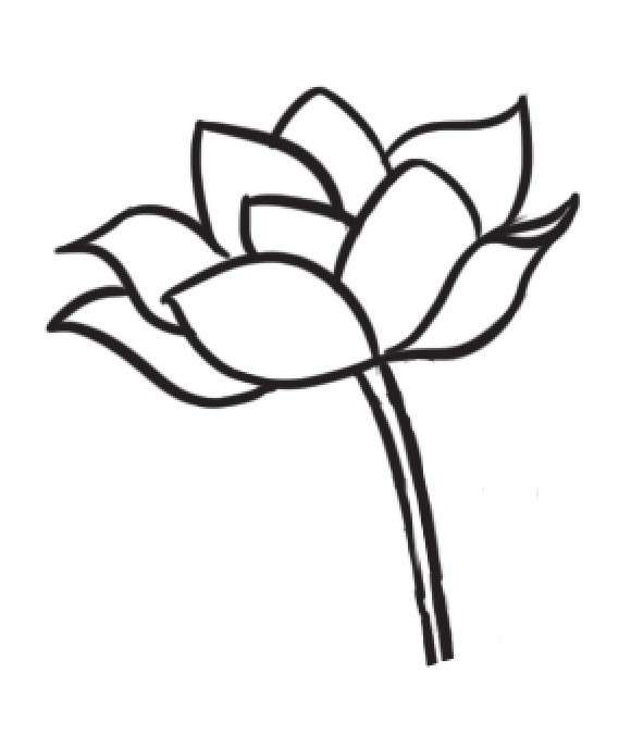 荷花简笔画