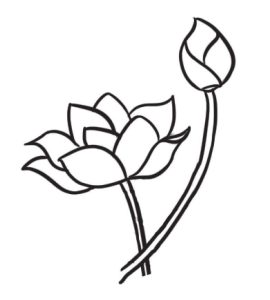荷花简笔画