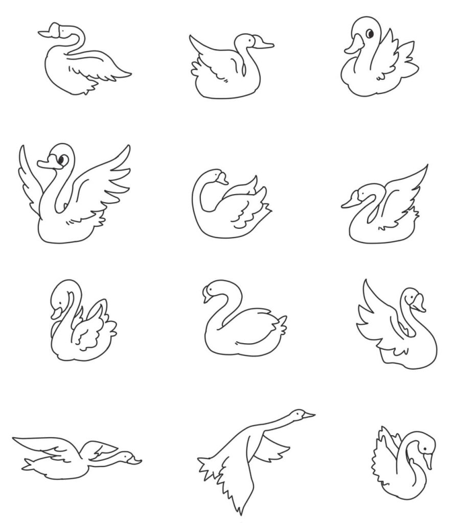 天鹅简笔画