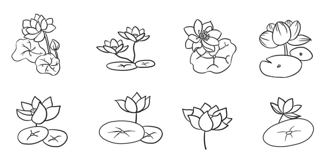 荷花简笔画
