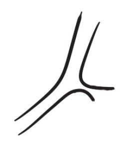 桃花简笔画